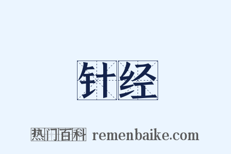 针经是什么意思的图片